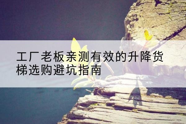 宿豫升降货梯怎么选-工厂老板亲测有效的升降货梯选购避坑指南