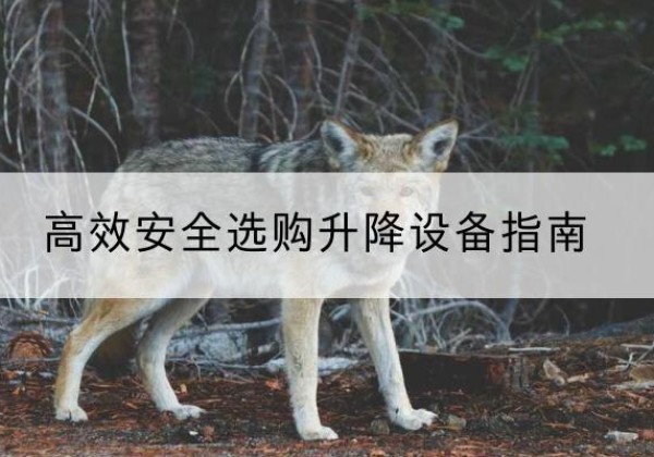 宿豫升降货梯厂家推荐-*安全选购升降设备指南