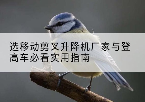 宿豫电动升降机厂家-选移动剪叉升降机厂家与登高车必看实用指南