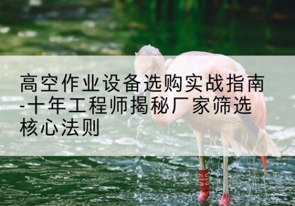 宿豫剪叉式升降机厂家-高空作业设备选购实战指南-十年工程师揭秘厂家筛选核心法则