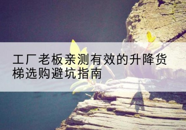 宿豫升降货梯怎么选-工厂老板亲测有效的升降货梯选购避坑指南